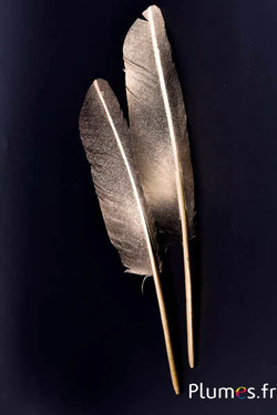 Zwaan met gouden sluier - 30-33 cm - zwart